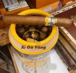 cohiba-siglo-6-hop-su-25-dieu Sản phẩm Xì gà Cohiba Siglo 6 hộp sứ 25 điếu
